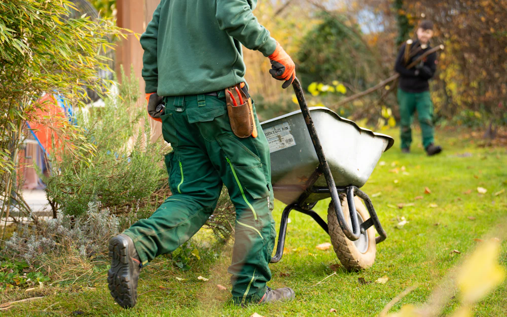 Landscaper working in a garden with a wheelbarrow